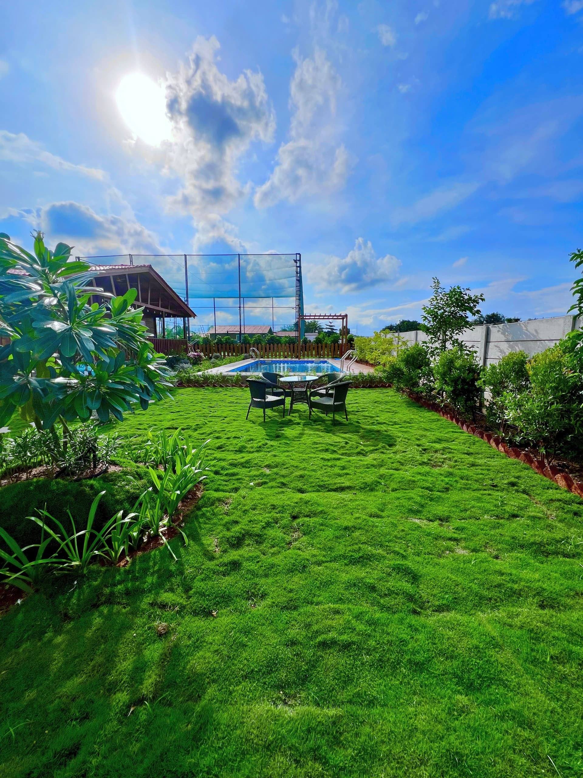 Landscaped lawn with seating in the afternoon sun