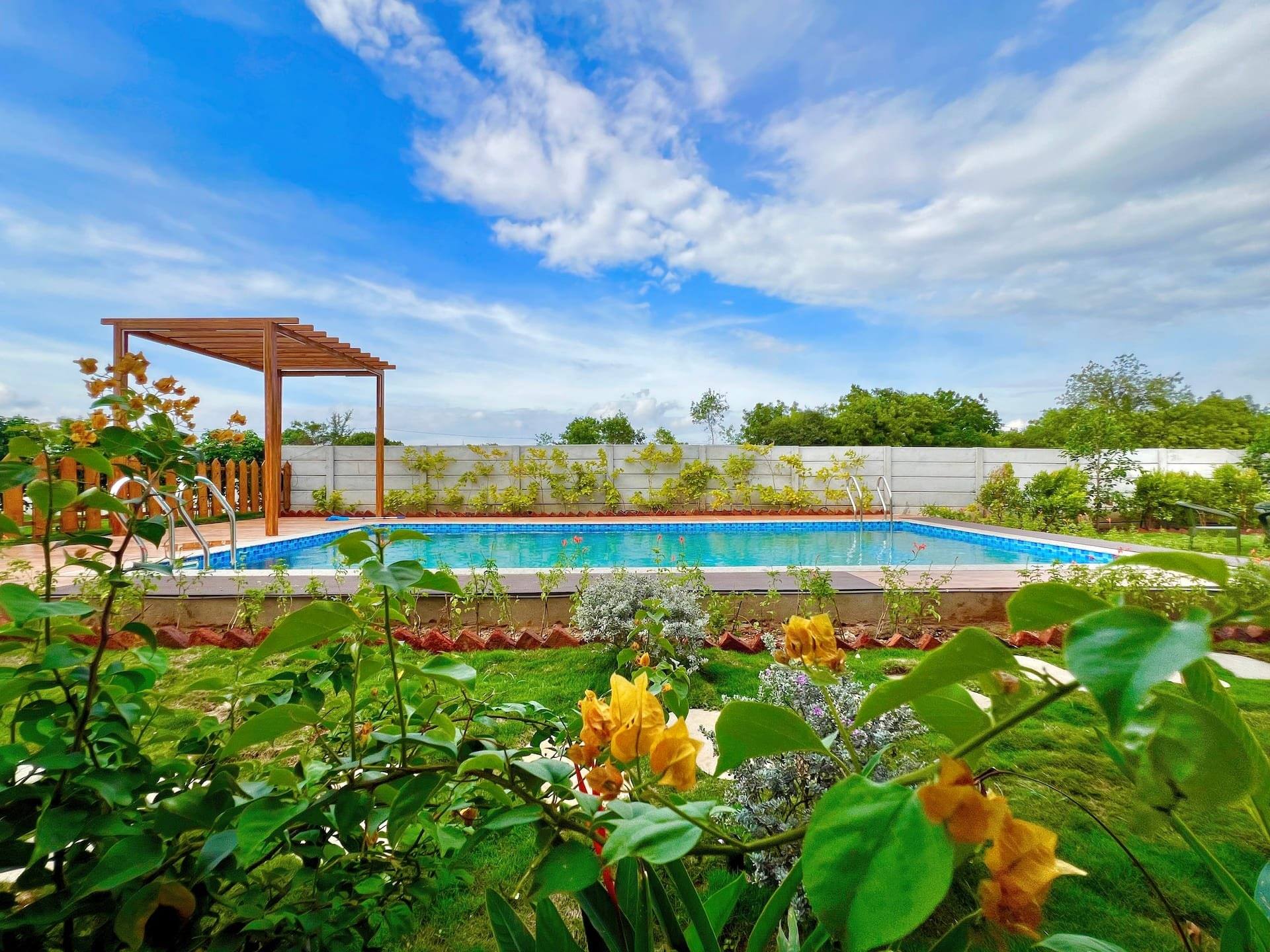 Pool and pergola framed by flowering plants
