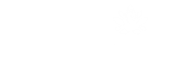 AV Holistays Footer logo